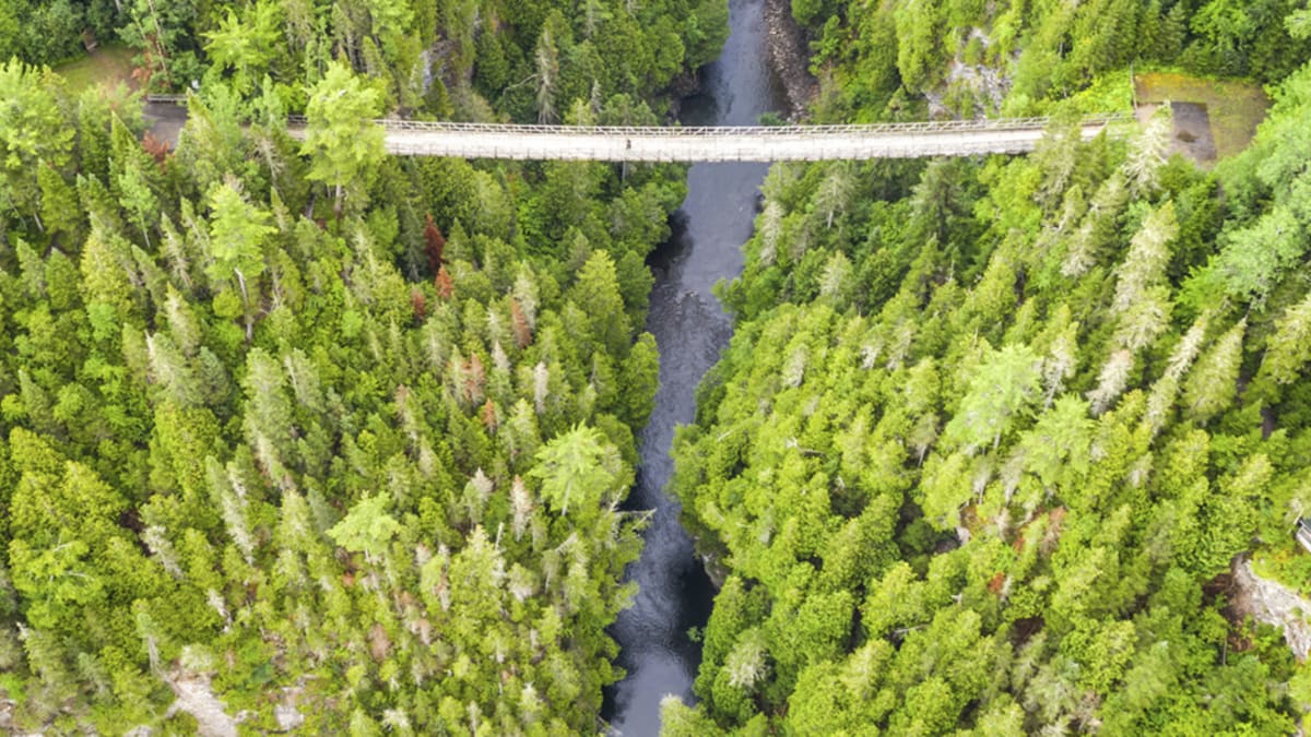 Vue aérienne d'un pont suspendu traversant une rivière en pleine forêt.