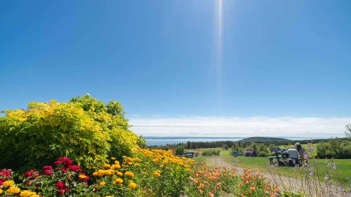 Village of Saint-Fidèle