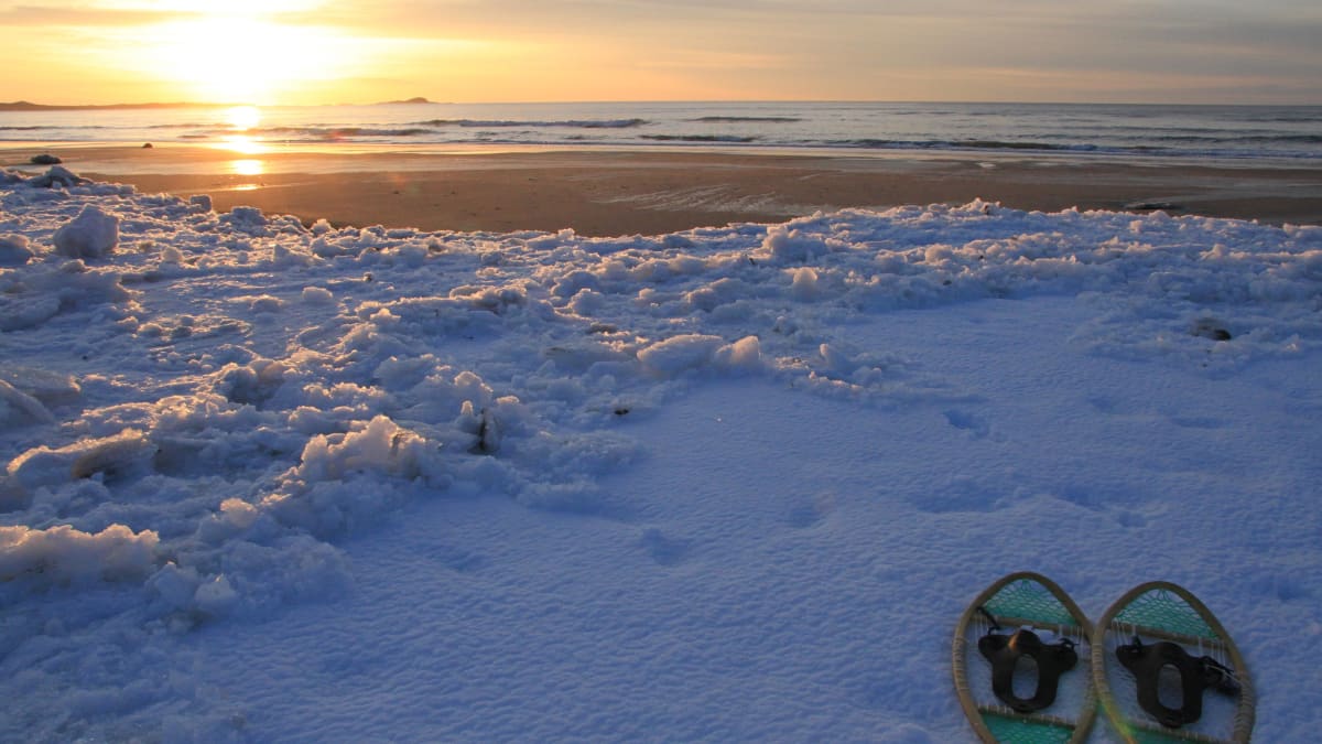 Pair of snowshoes in the snow in Côte-Nord.