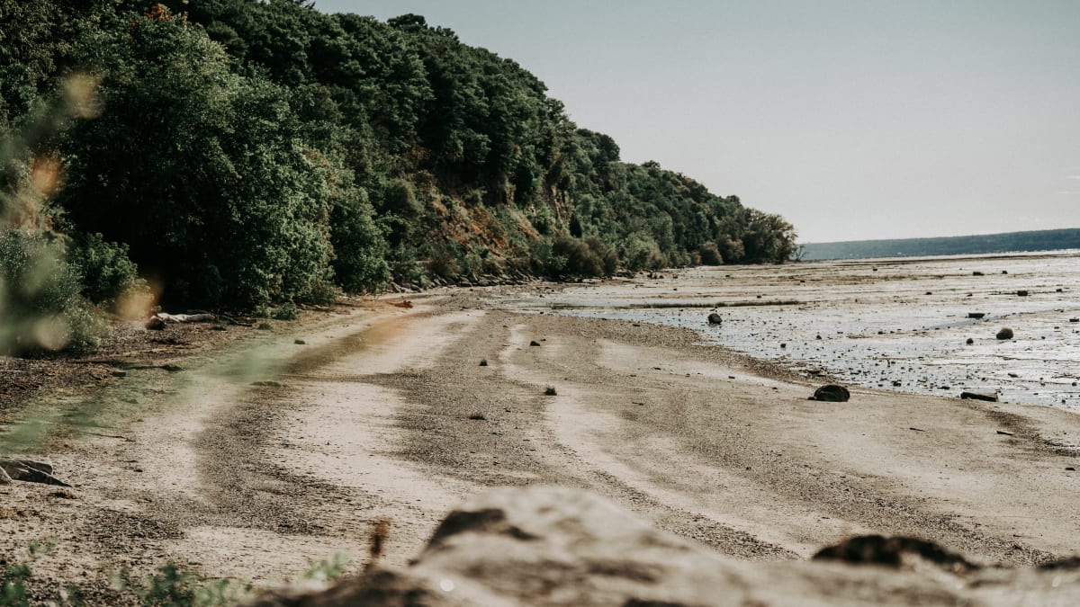 Shoreline in the Portneuf Region.