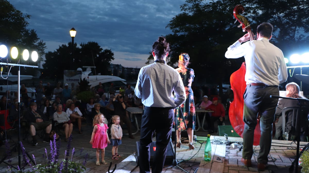 Spectacle musicien sur scène