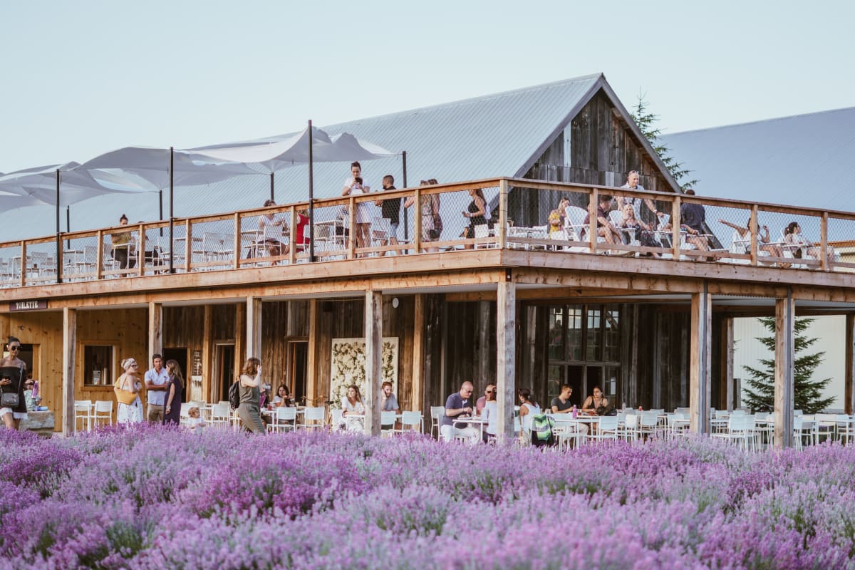 la_maison_lavande_culture_et_parfumerie_19