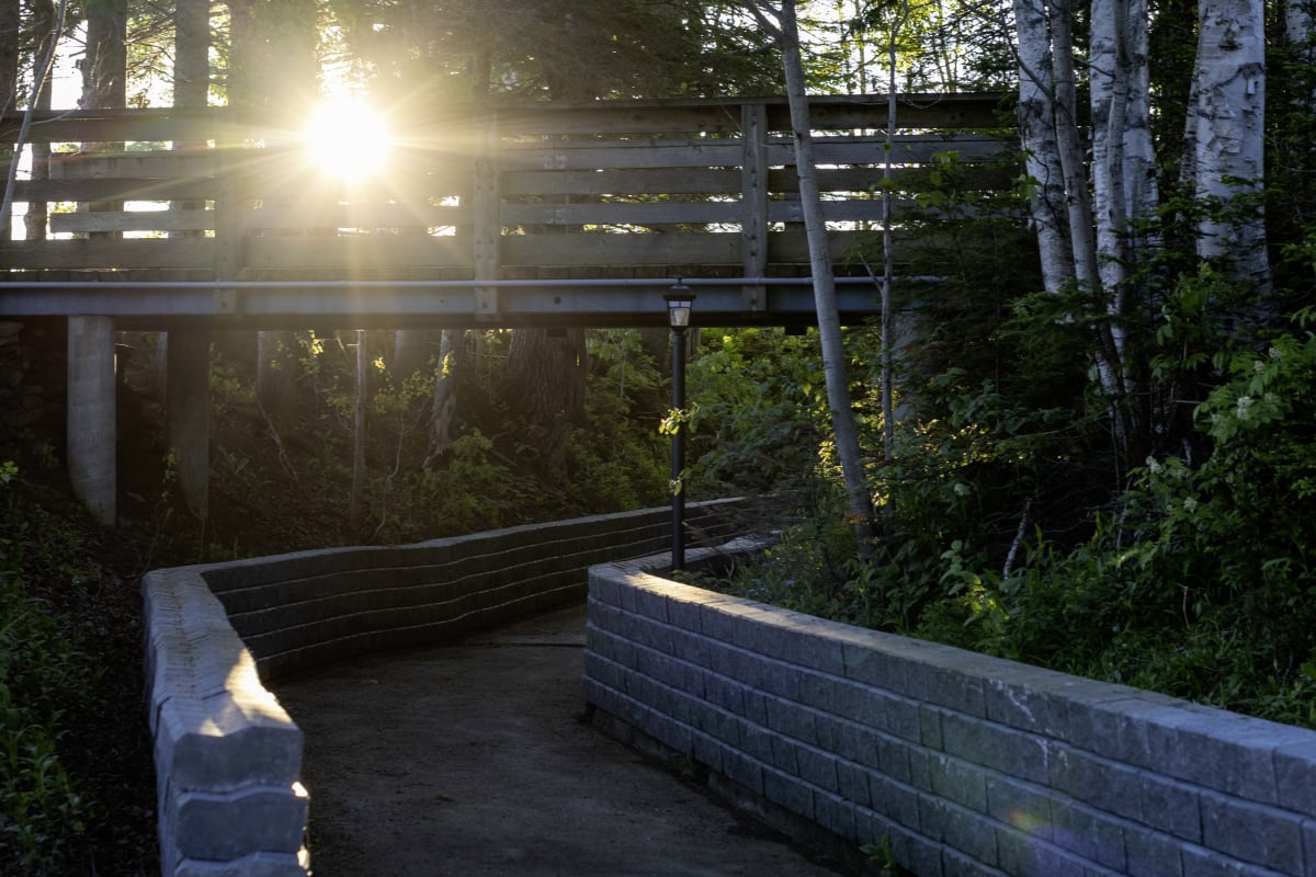A path lined with fortified walls winds through a forest. Above it, a raised walkway overlooks the path.