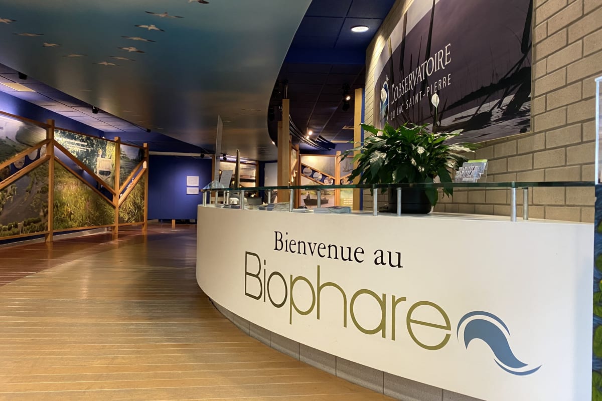 Biophare museum reception desk.