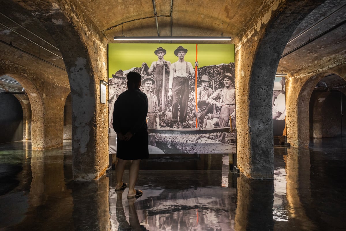 Transformations exhibition