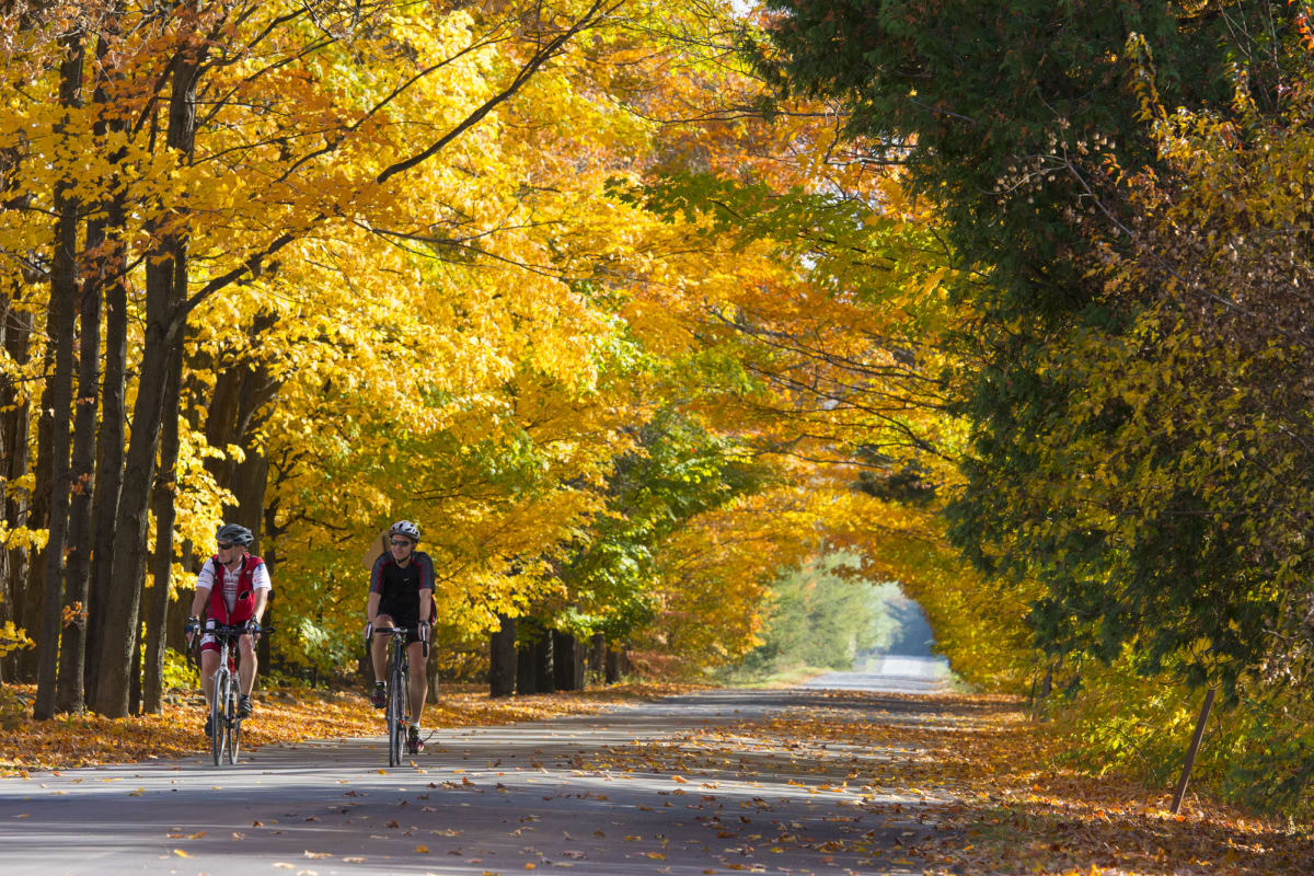 Two cyclists on a road in Brome-Missisquoi in the fall.