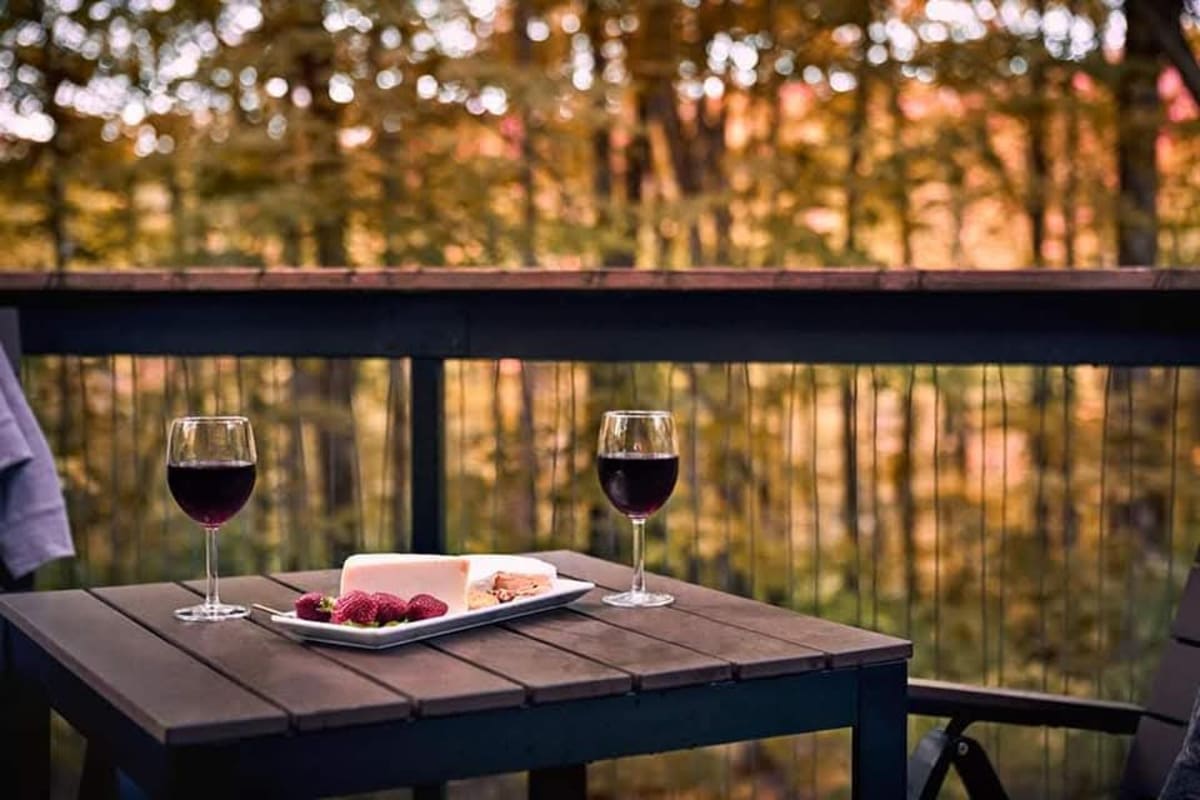 Two glasses of wine and a plate on a patio at Cabin Sutton.