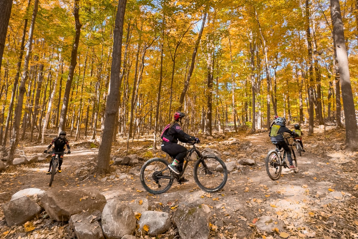 Mountain biking in autumn at Mont-Rigaud