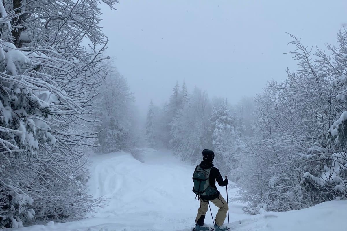 Person skiing down a snow-covered slope.
