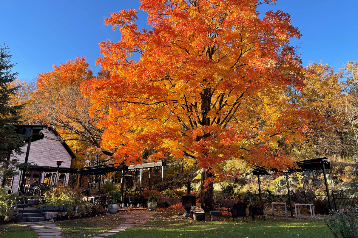 Terrasse du Mistral à l'automne.