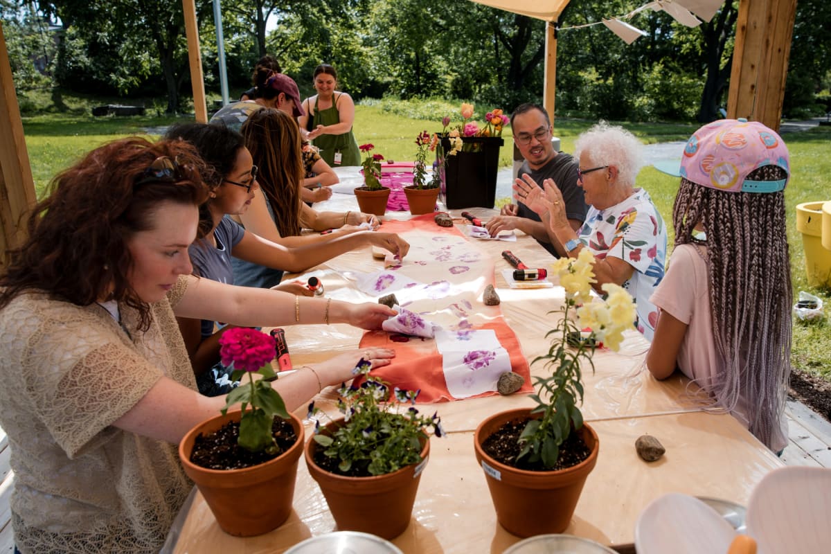 Activity, Fleurs Impudiques.