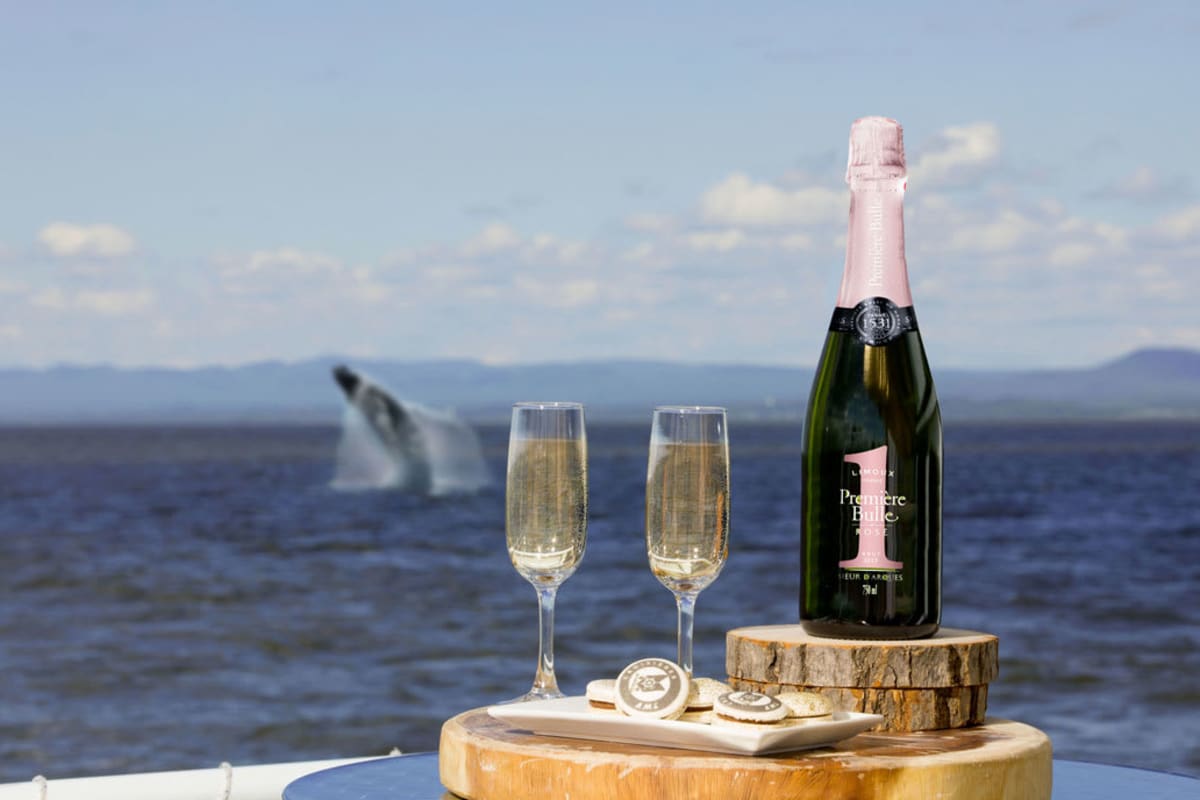 A bottle of champagne and two filled flutes sitting on a table, with a whale emerging from the water in the background.
