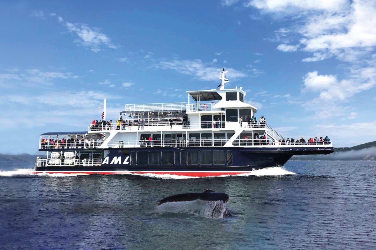 A Croisières AML cruise ship with a whale's tail emerging from the water nearby.