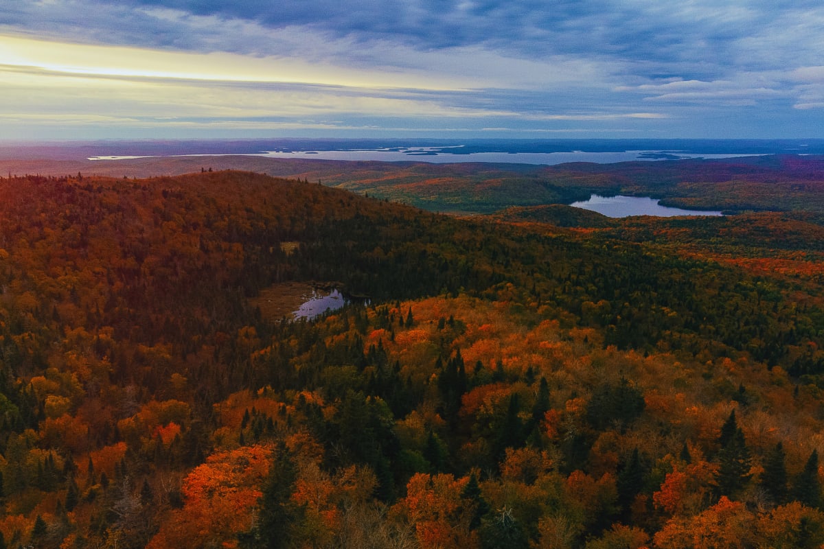 Vue aérienne de la forêt du Parc régional Montagne du Diable, en automne.
