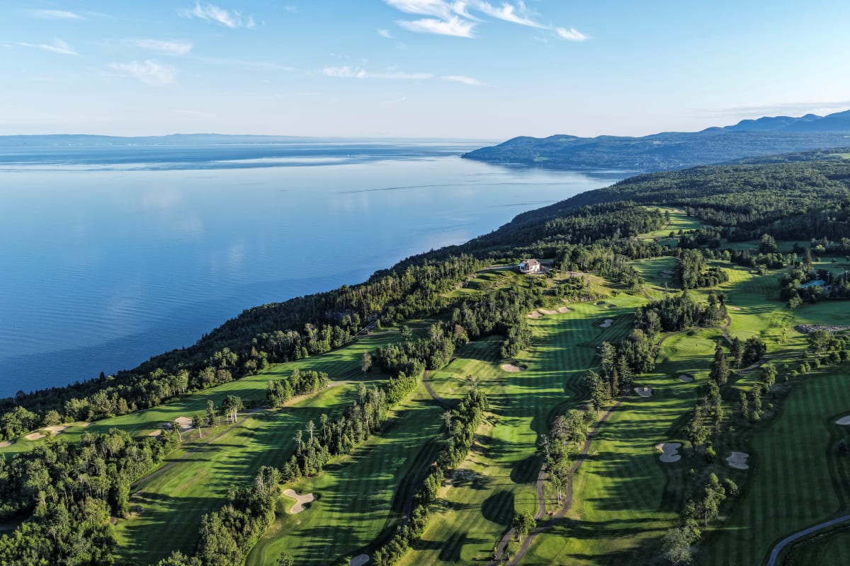 Forest surrounding the hotel.