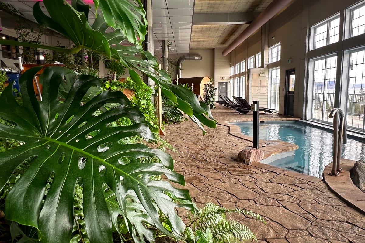 Hôtel Pavillons et Spa Le Petit Manoir du Casino 