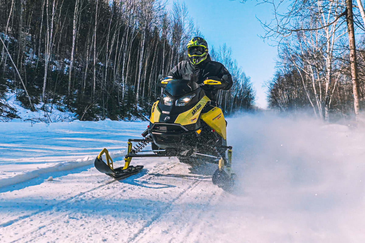 Hôtel Pavillons et Spa Le Petit Manoir du Casino 