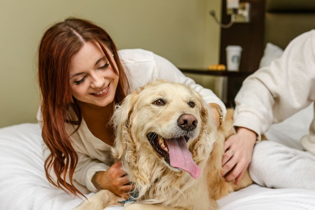 Femme avec son chien sur un lit de l'Hôtel Levesque