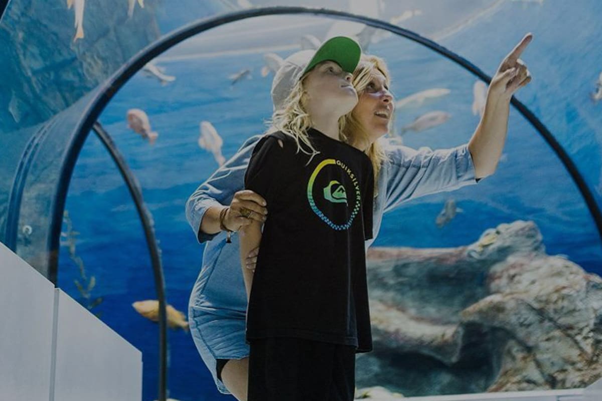 Forfait aqurium