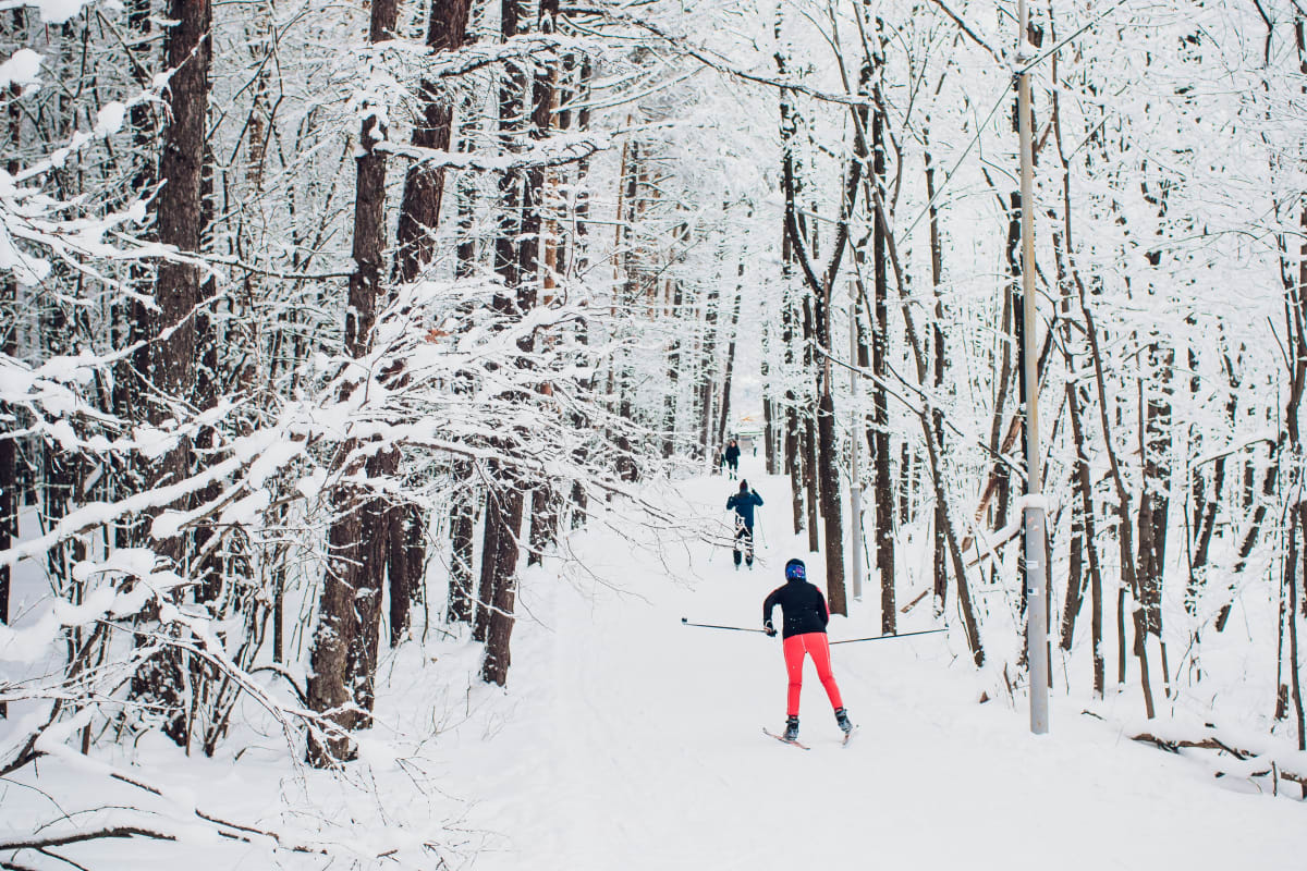 Skieurs au parc national des iles-de-boucherville.