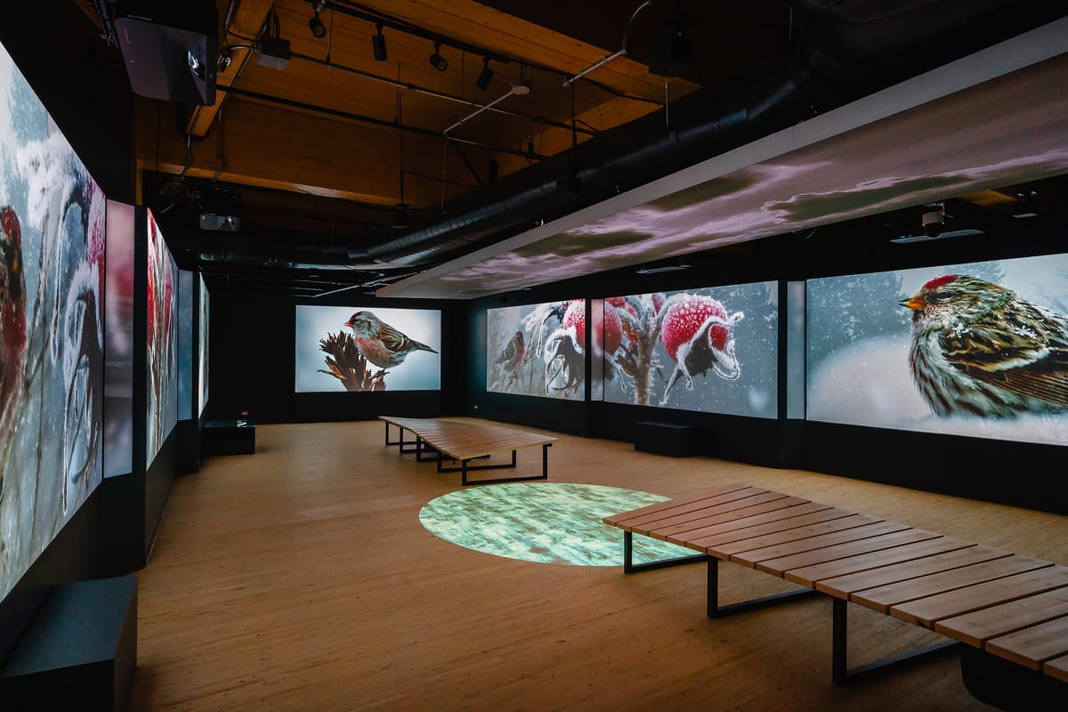 Marais de la Rivière aux cerises