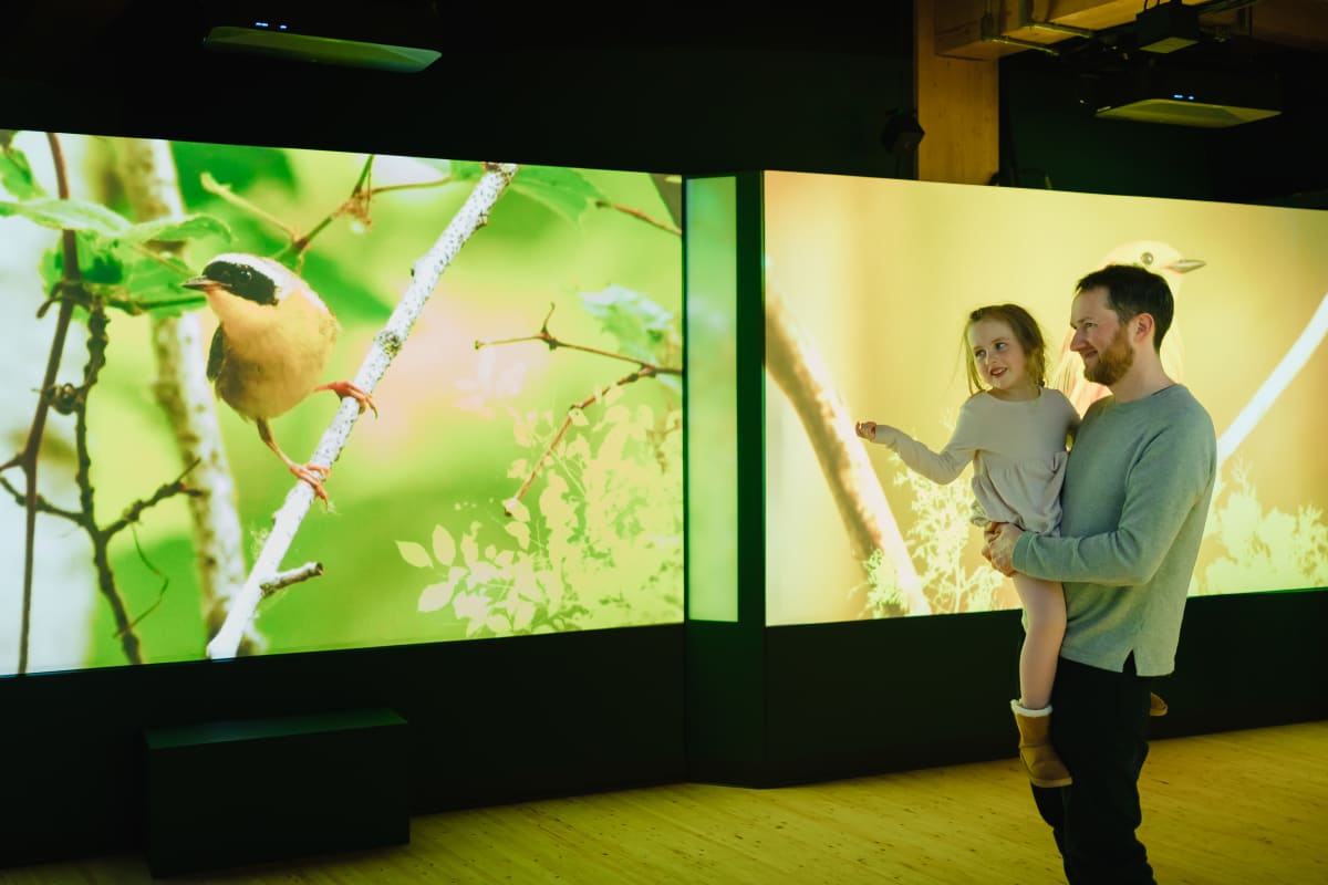 Father and daughter at the Momenti exhibit at Marais de la rivière des cerises.