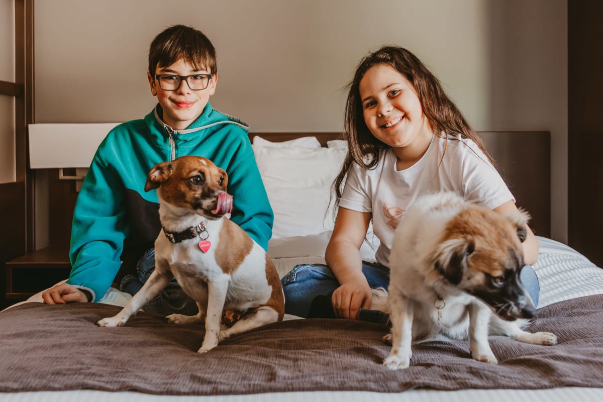 Two children and two dogs on a bed at the Microtel Inn & Suites Mont-Tremblant.