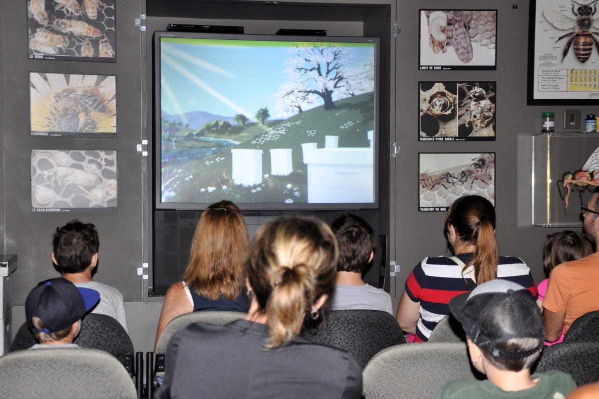 Presentation on bees at Miellerie Lune de Miel.