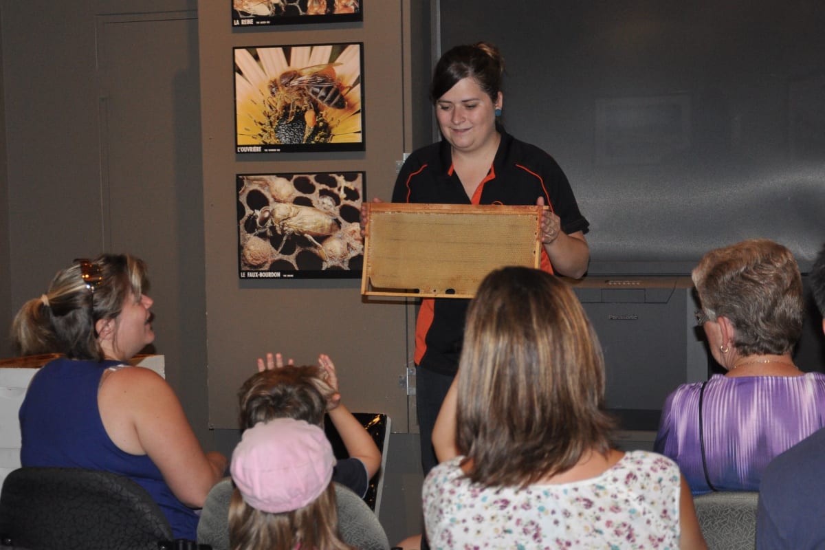 Bee presentation at Miellerie Lune de Miel.