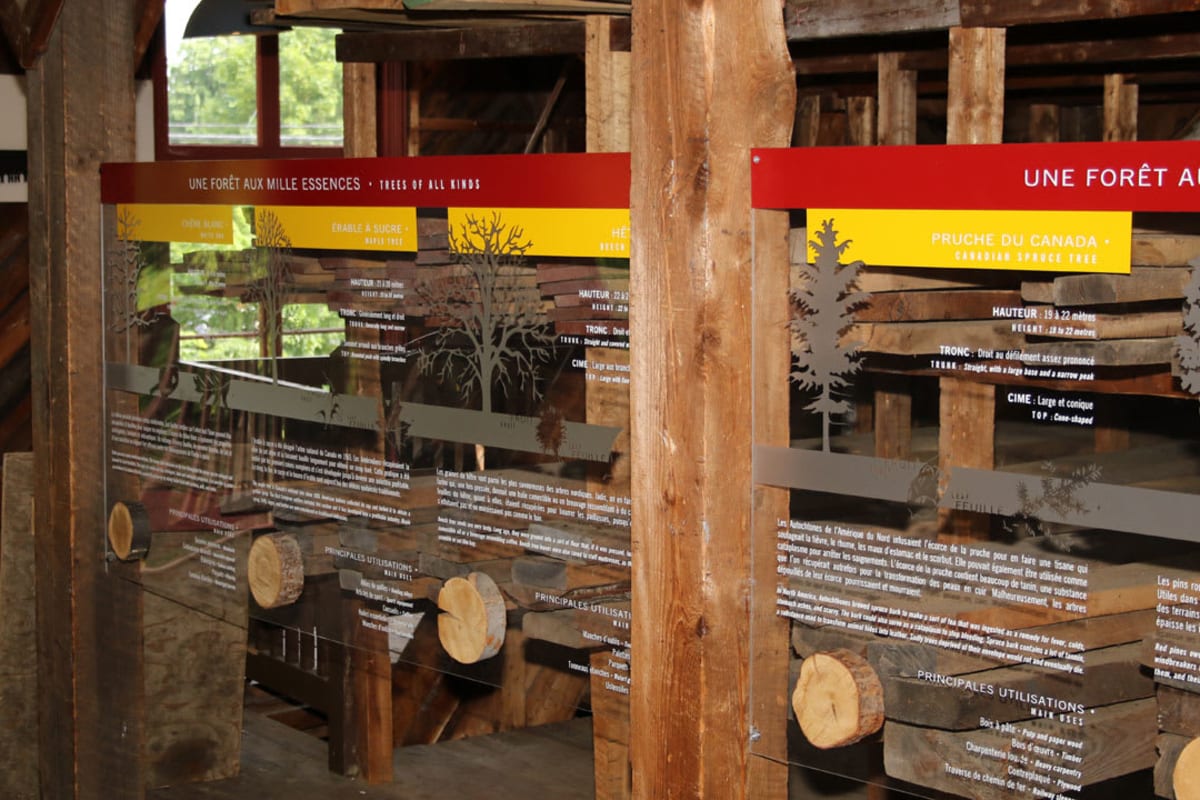 Section zone d'interprétation "Une forêt aux mille essences" du Moulin seigneurial de Pointe-du-Lac