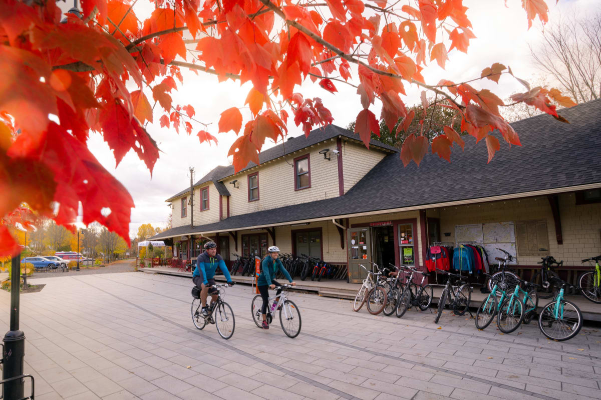 Feuilles d'érable rouge et 2 cyclistes à vélo.