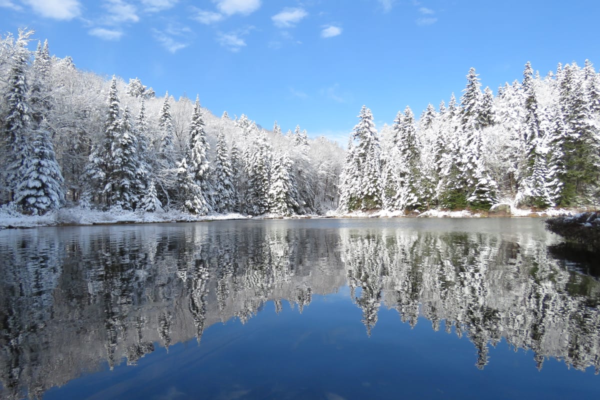 La Mauricie National Park in winter.
