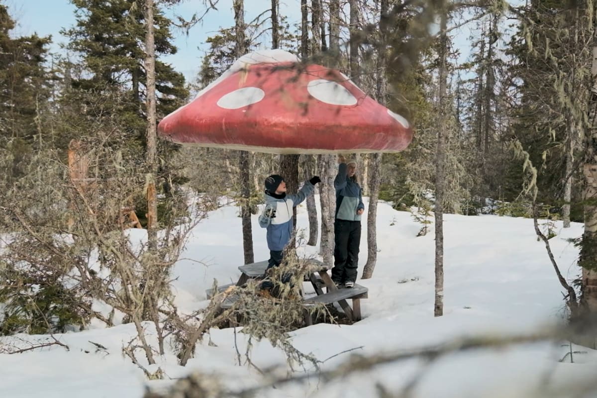 Parc nature de Pointe-aux-Outardes