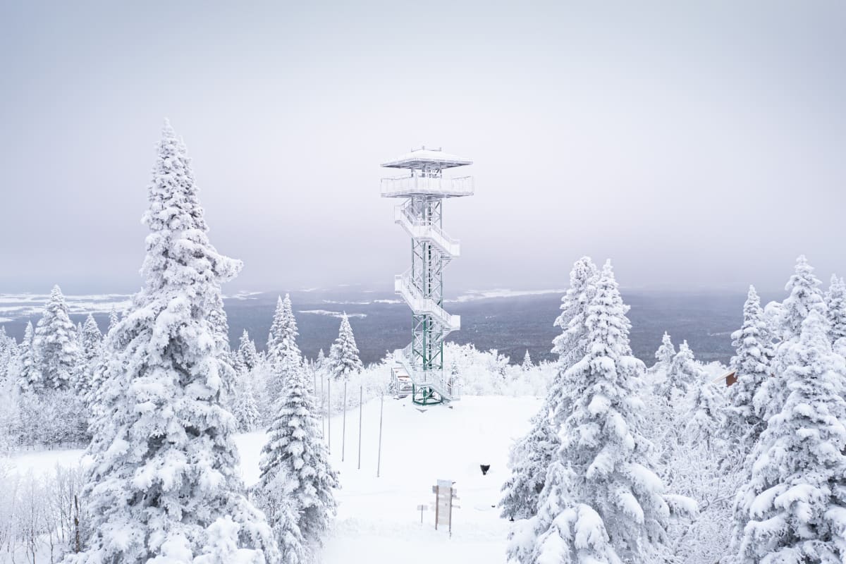 Tour d'observation au sommet d'une montagne au parc régional Montagne du Diable.
