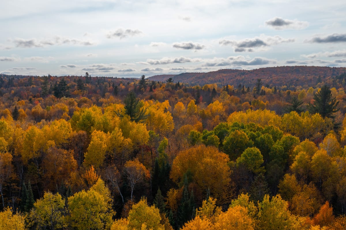 Festival des couleurs au Parc régional Montagne du Diable.