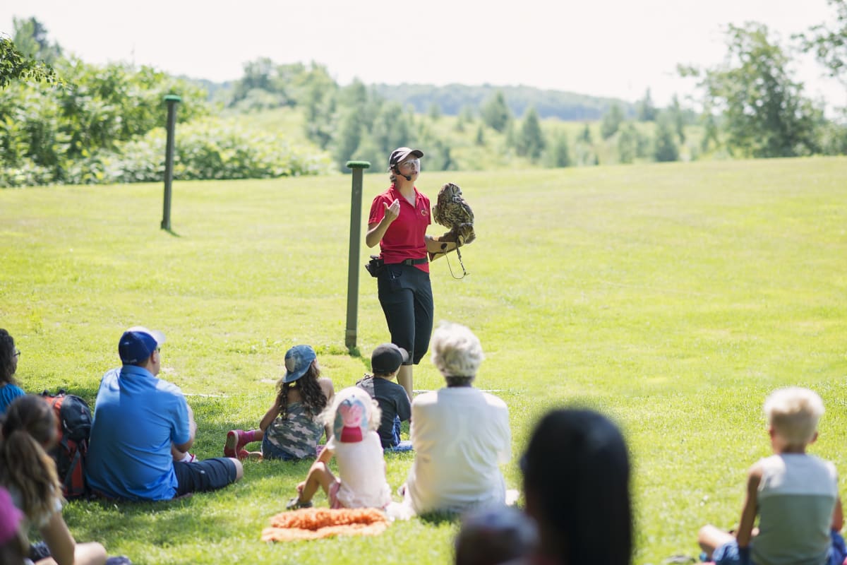 Demonstration of birds of prey at Chouette à voir!