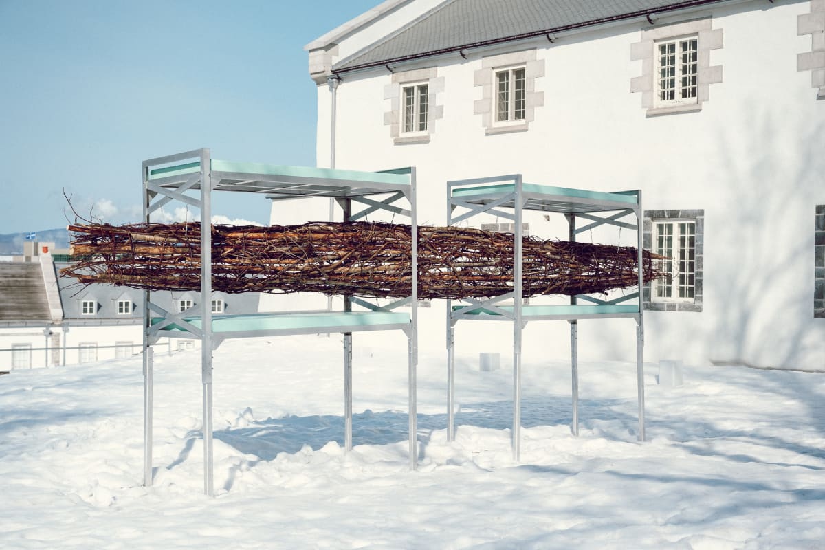 manif_dart___la_biennale_de_quebec_4