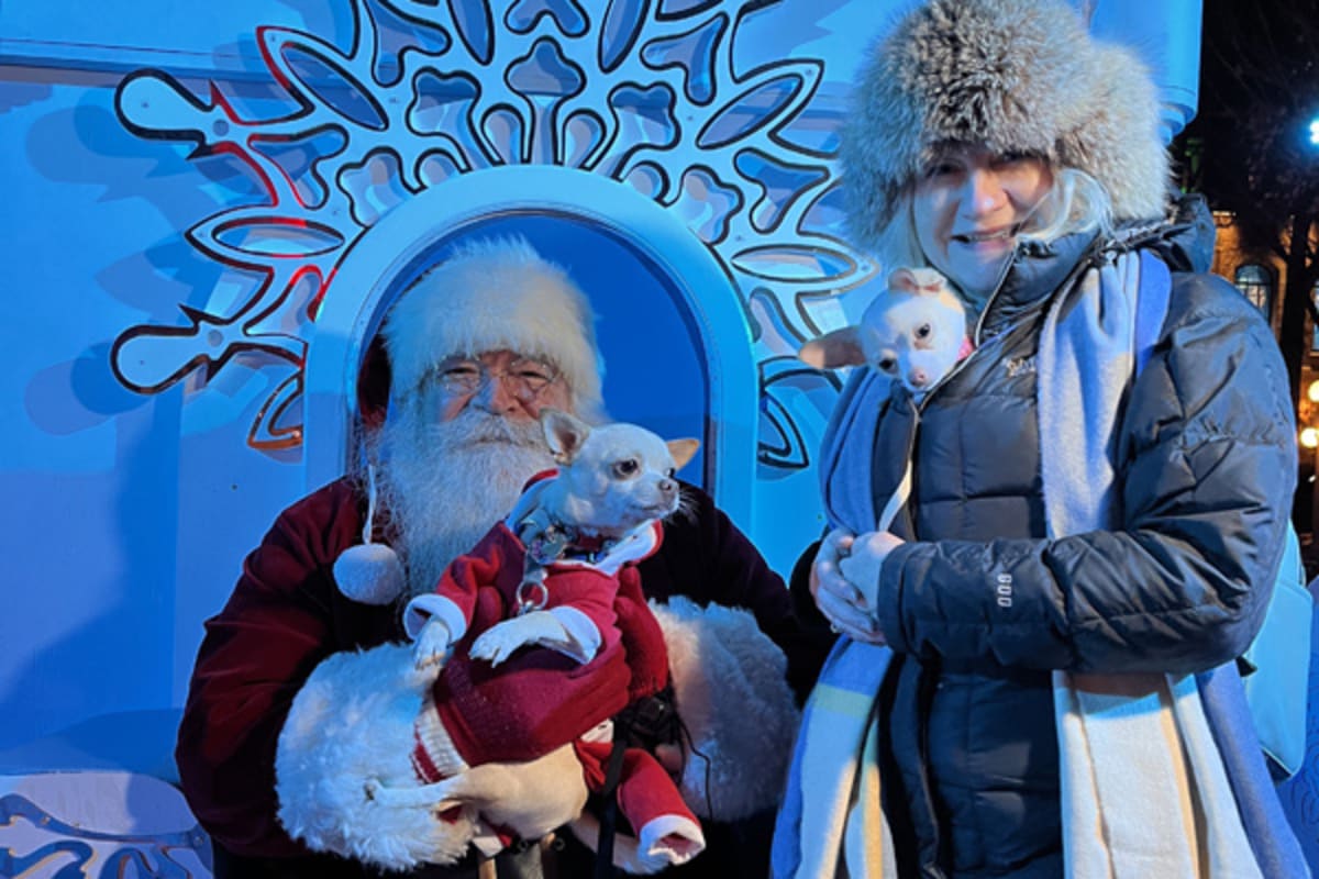 marche_de_noel_allemand_quebec_10