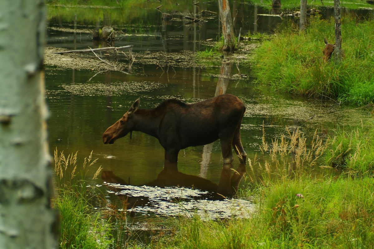 parc_omega_10