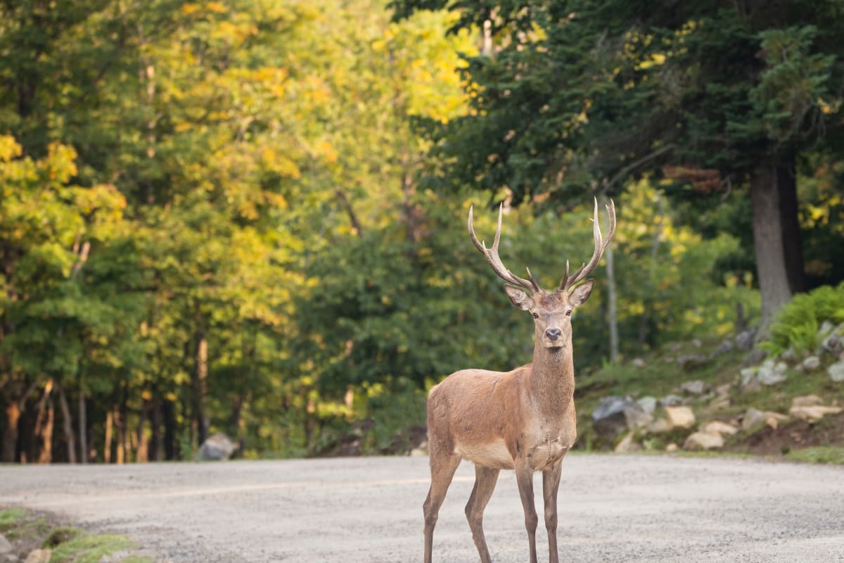 parc_omega_12