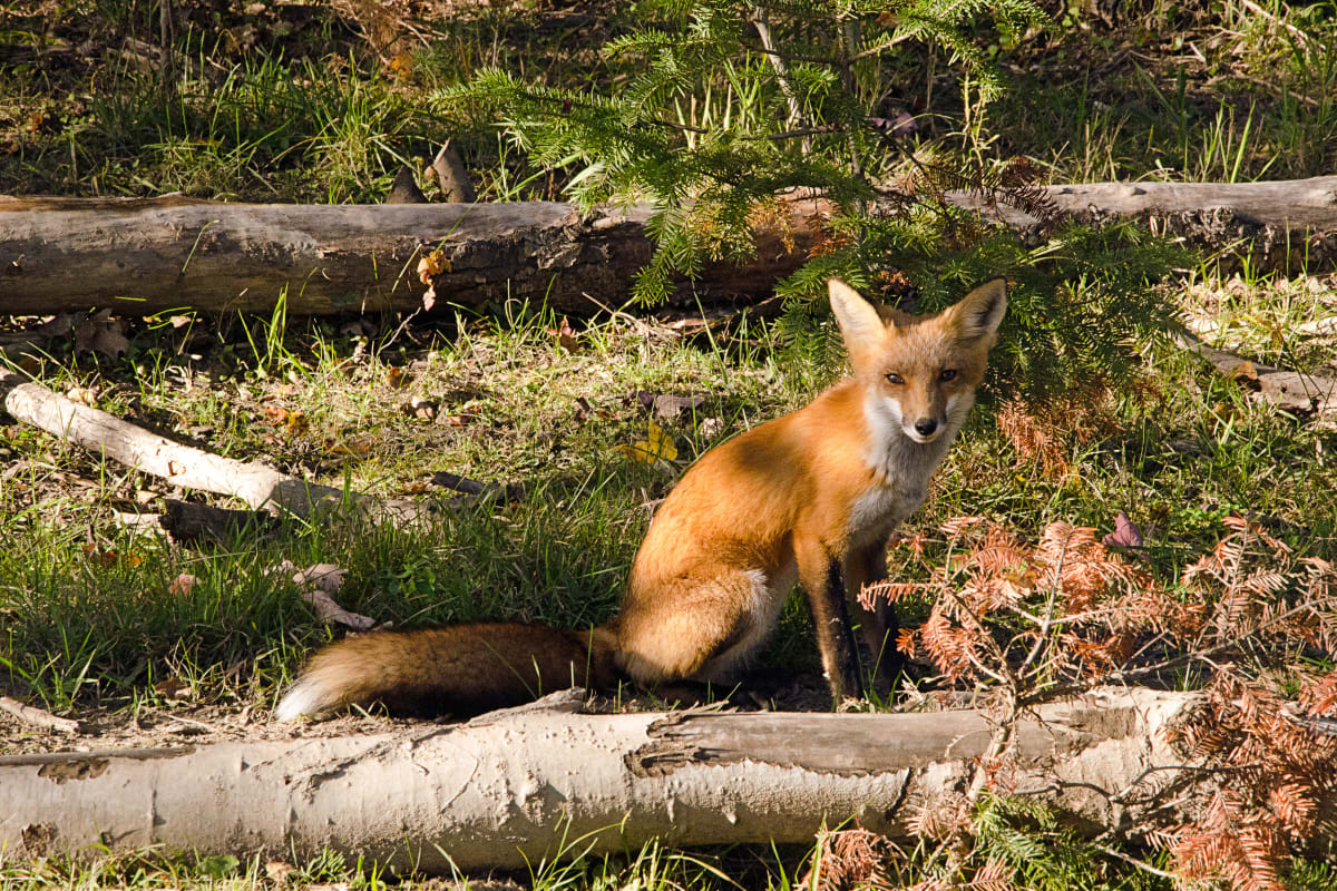 parc_omega_5