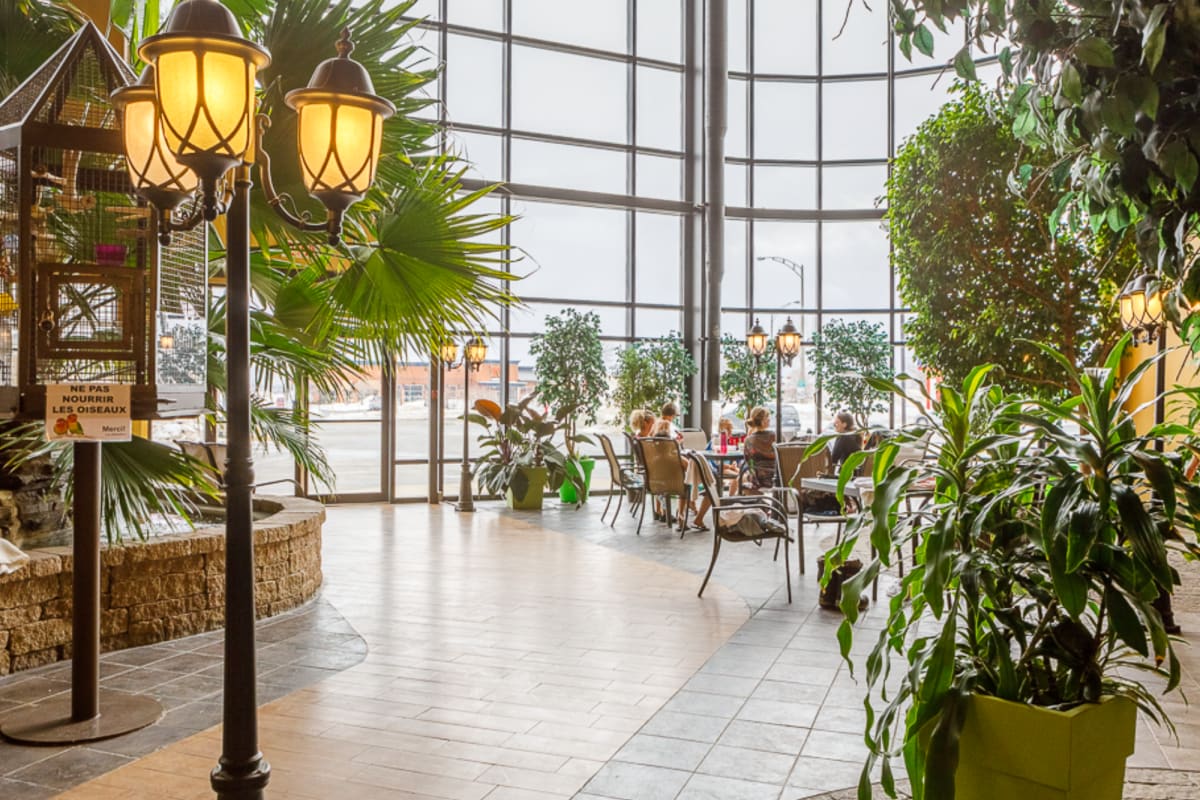 Atrium adorning an exotic decor at Hotel Ambassadeur