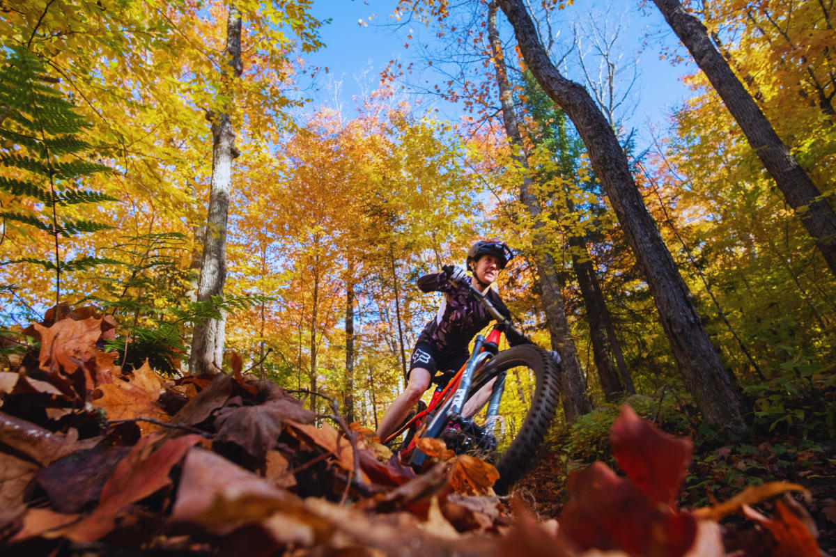 Mountain biking in autumn at Parc régional Montagne du Diable