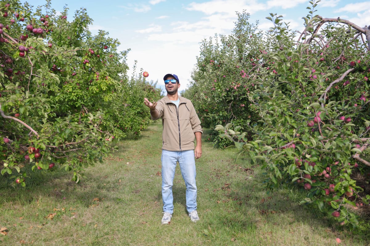 Homme dans un champ de pommes.