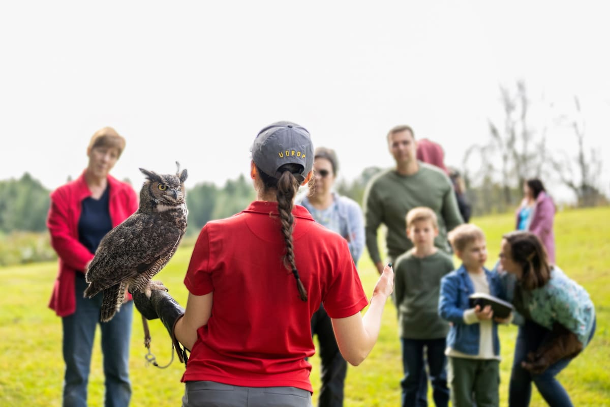 Guide qui fait une démonstration avec une chouette devant quelques personnes.