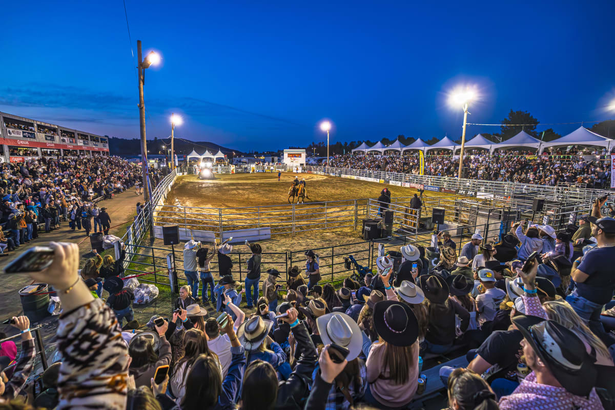 Professional rodeo.