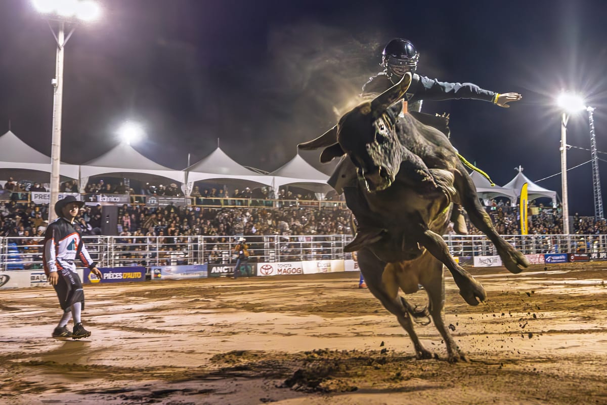 Professional rodeo.
