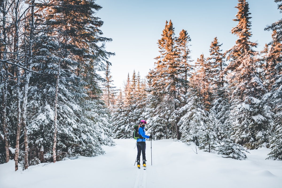 Cross-country skier.