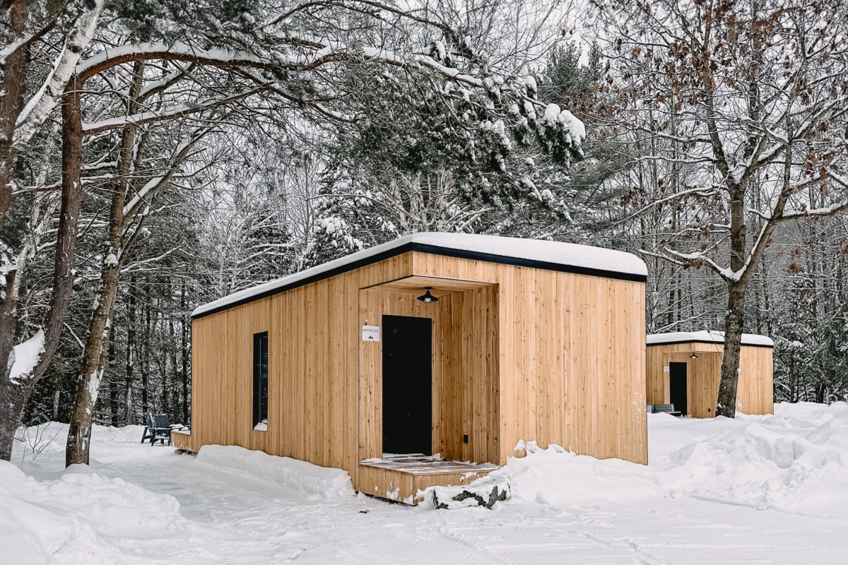 Micro refuges in winter at Nature Nature.