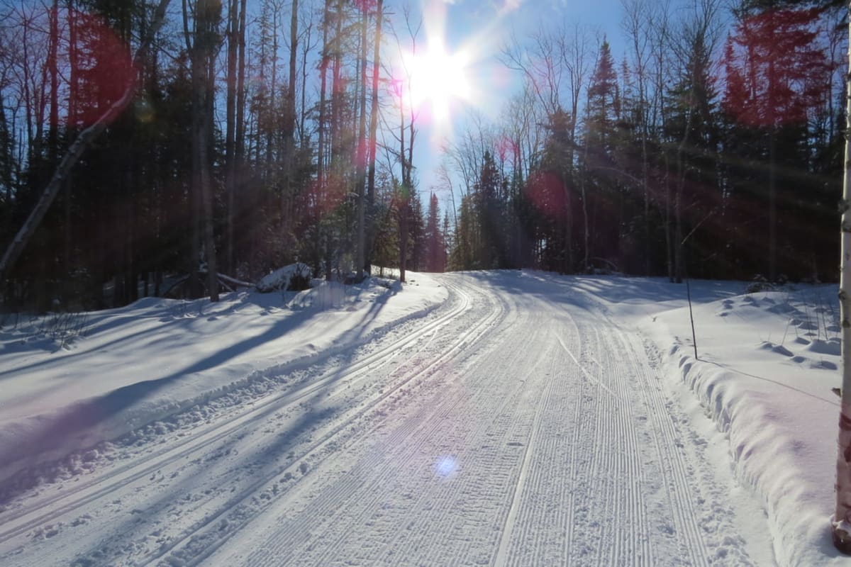 Wide cross-country ski trail under bright sunshine.